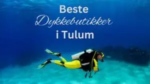 Beste dykkebutikker i Tulum