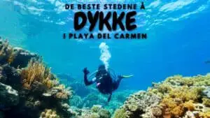 De beste stedene å dykke i Playa del Carmen
