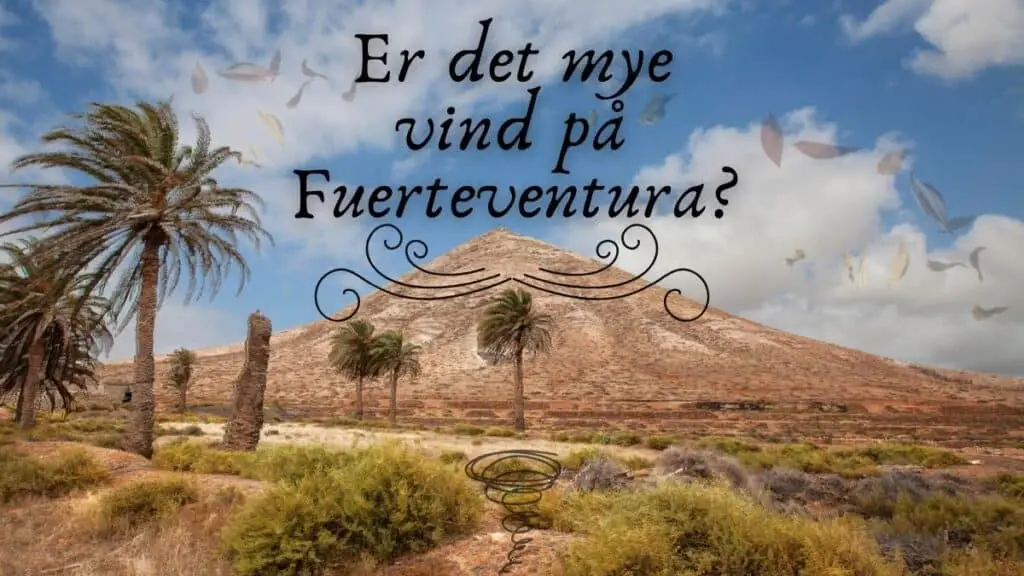 Er det mye vind på Fuerteventura?