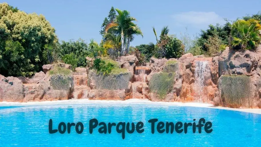 Loro Parque Tenerife