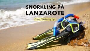Snorkling på Lanzarote - priser, steder og tips