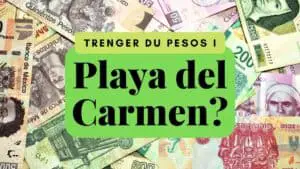Trenger du Pesos i Playa del Carmen