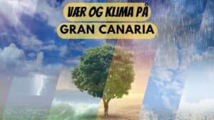 Vær og klima på Gran Canaria